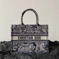 Dior Shopping Bags